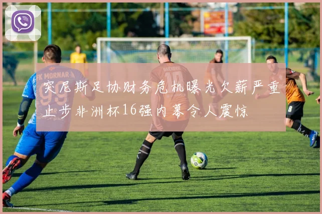 突尼斯足协财务危机曝光欠薪严重止步非洲杯16强内幕令人震惊